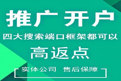 百度搜索推广实战案例：揭秘高效推广背后的秘密